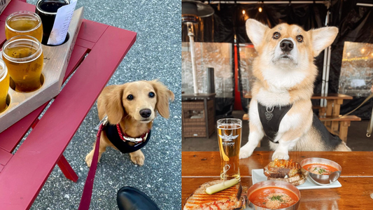 The Ultimate Brewery Visit Checklist