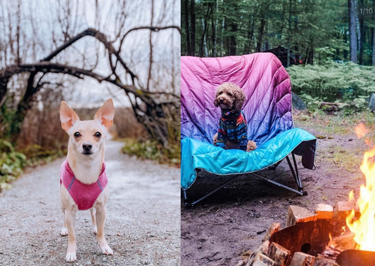 The Ultimate Camping Checklist
