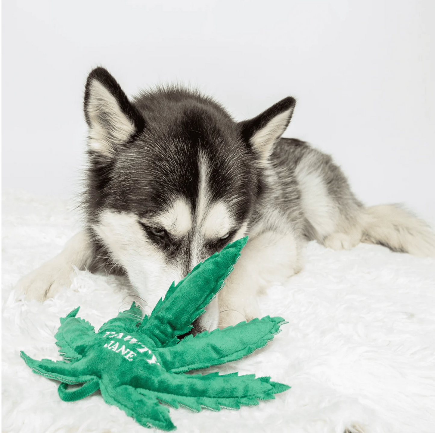 Eco-Friendly Canadian Plush Toy Bundle