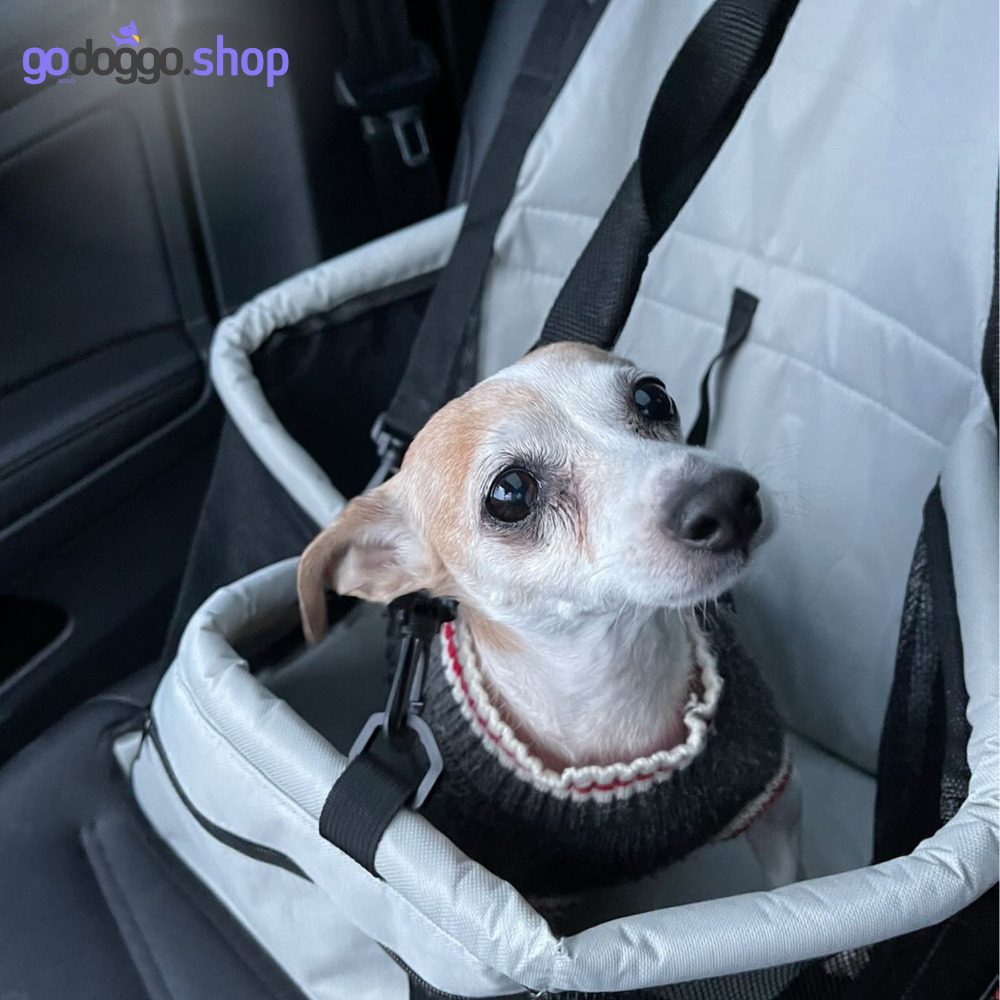 BYOD, Bring Your Own Dog Car Safety Carrier