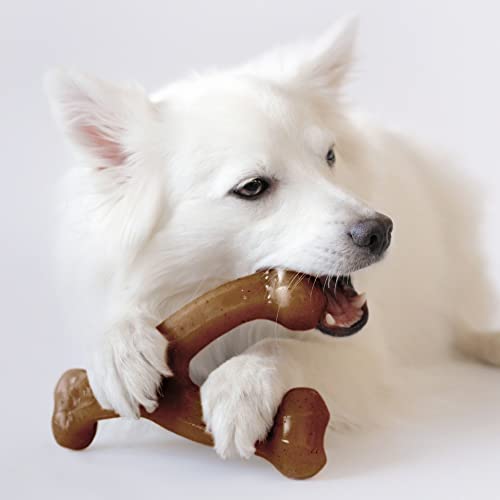 Benebone Holiday 4-Pack: Durable Chew Toys for Your Pup's Joyful Chewing