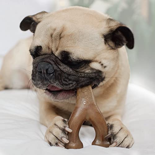 Benebone Holiday 4-Pack: Durable Chew Toys for Your Pup's Joyful Chewing