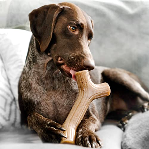 Benebone Holiday 4-Pack: Durable Chew Toys for Your Pup's Joyful Chewing
