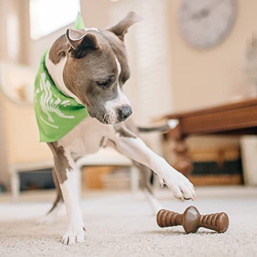 Benebone Holiday 4-Pack: Durable Chew Toys for Your Pup's Joyful Chewing