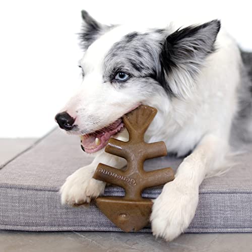 Benebone Holiday 4-Pack: Durable Chew Toys for Your Pup's Joyful Chewing