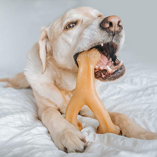 Benebone Holiday 4-Pack: Durable Chew Toys for Your Pup's Joyful Chewing