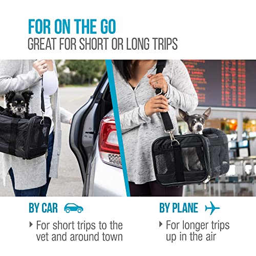 Sherpa PetDelta Carrier, the only bag you'll ever need