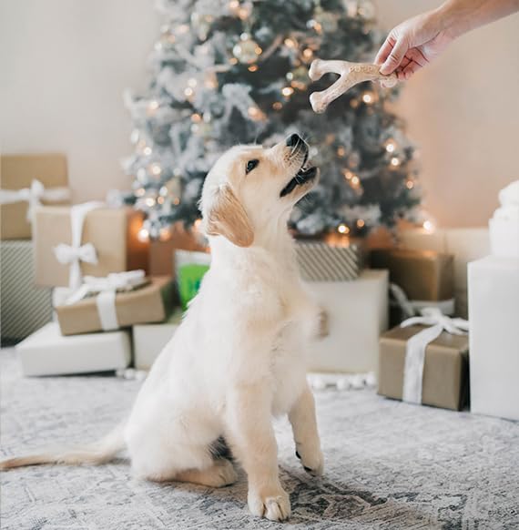 Benebone Holiday 4-Pack: Durable Chew Toys for Your Pup's Joyful Chewing