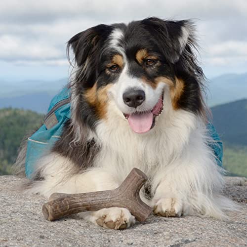 Benebone Holiday 4-Pack: Durable Chew Toys for Your Pup's Joyful Chewing