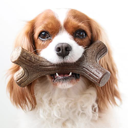 Benebone Holiday 4-Pack: Durable Chew Toys for Your Pup's Joyful Chewing
