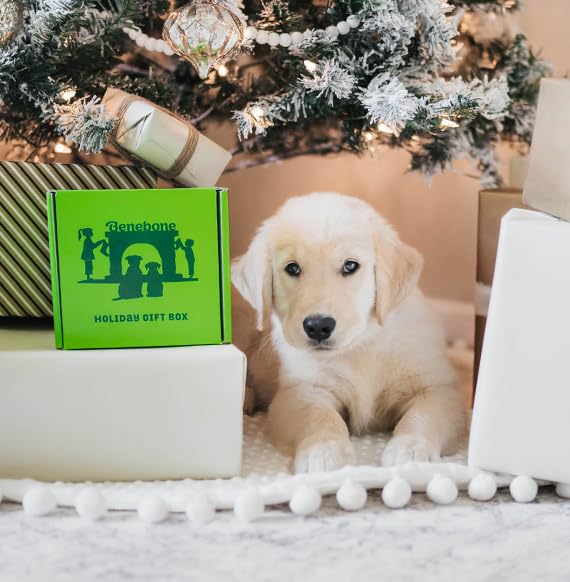 Benebone Holiday 4-Pack: Durable Chew Toys for Your Pup's Joyful Chewing