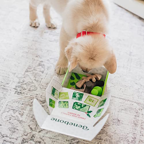 Benebone Holiday 4-Pack: Durable Chew Toys for Your Pup's Joyful Chewing
