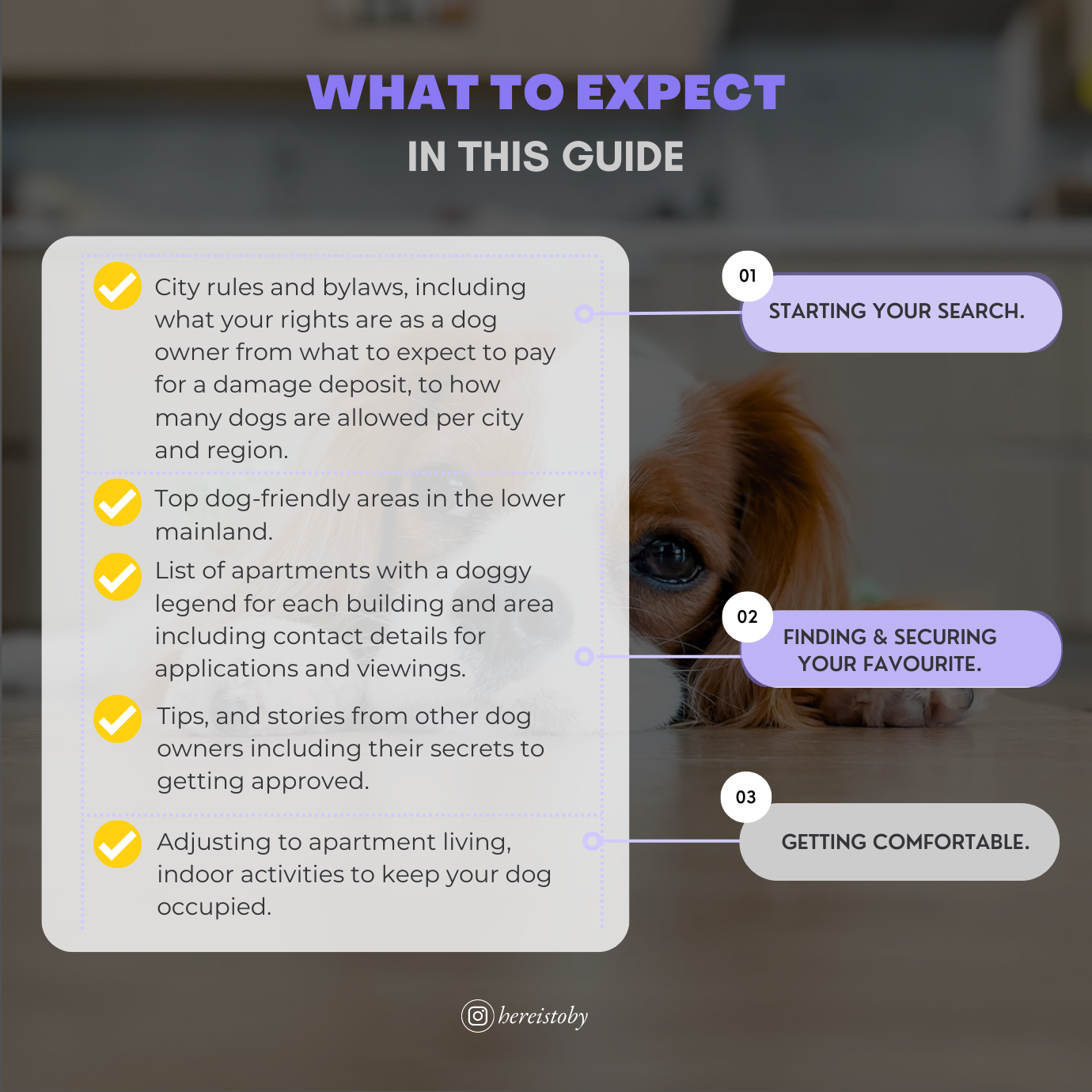 GoDoggo Apartment Guide