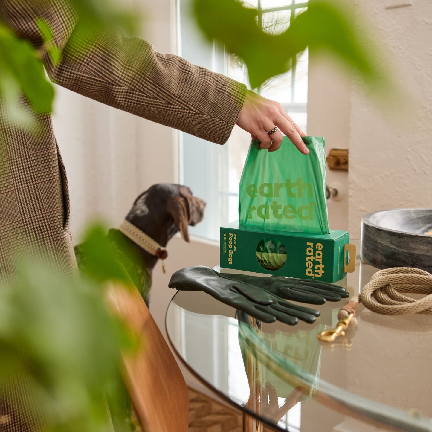 Earth Rated Dog Poop Bags, 300 Bags