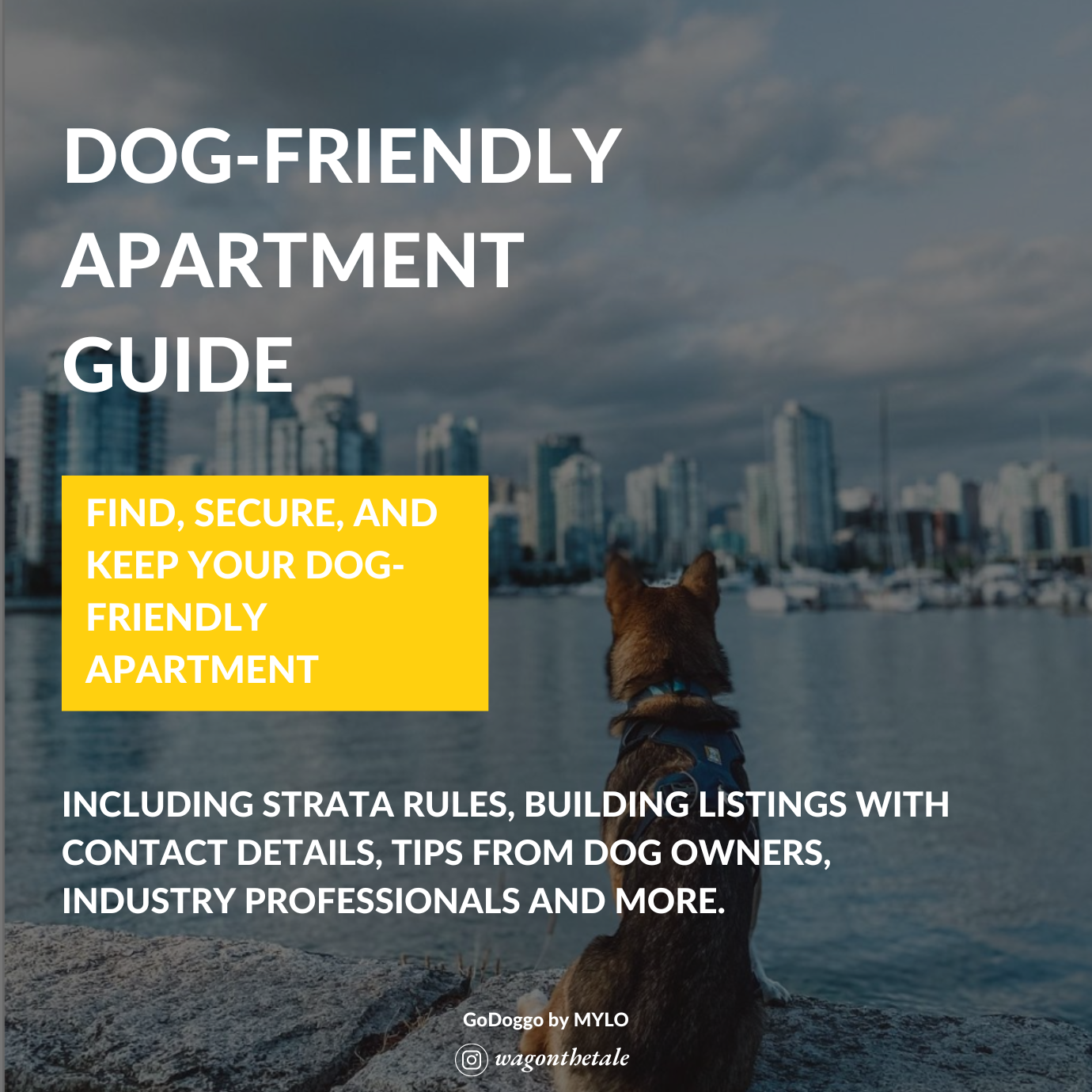 GoDoggo Apartment Guide