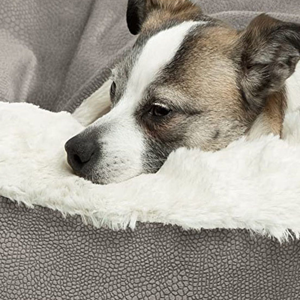 Warm and Comfortable Washable Orthopedic Pet Bed_3