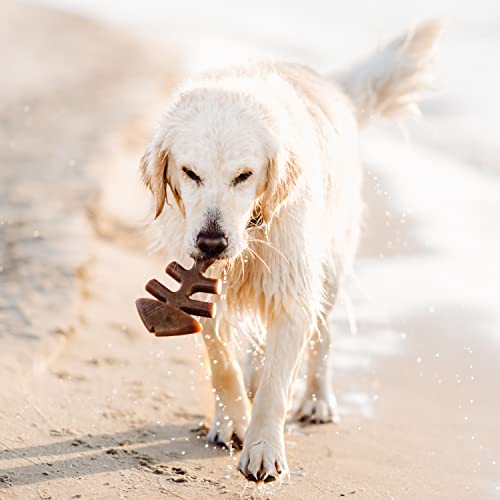 Benebone Holiday 4-Pack: Durable Chew Toys for Your Pup's Joyful Chewing