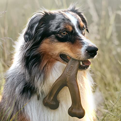 Benebone Holiday 4-Pack: Durable Chew Toys for Your Pup's Joyful Chewing