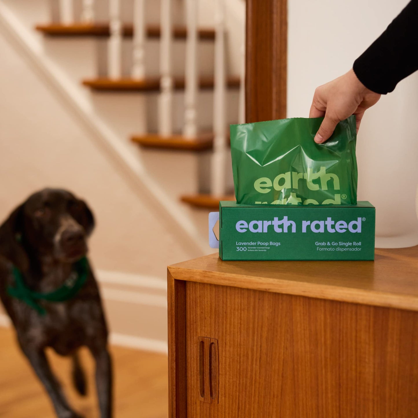 Earth Rated Dog Poop Bags, 300 Bags