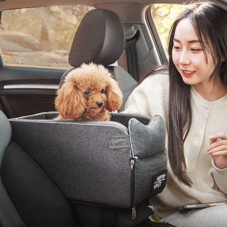 BYOD, Bring Your Own Dog Carpool Seat